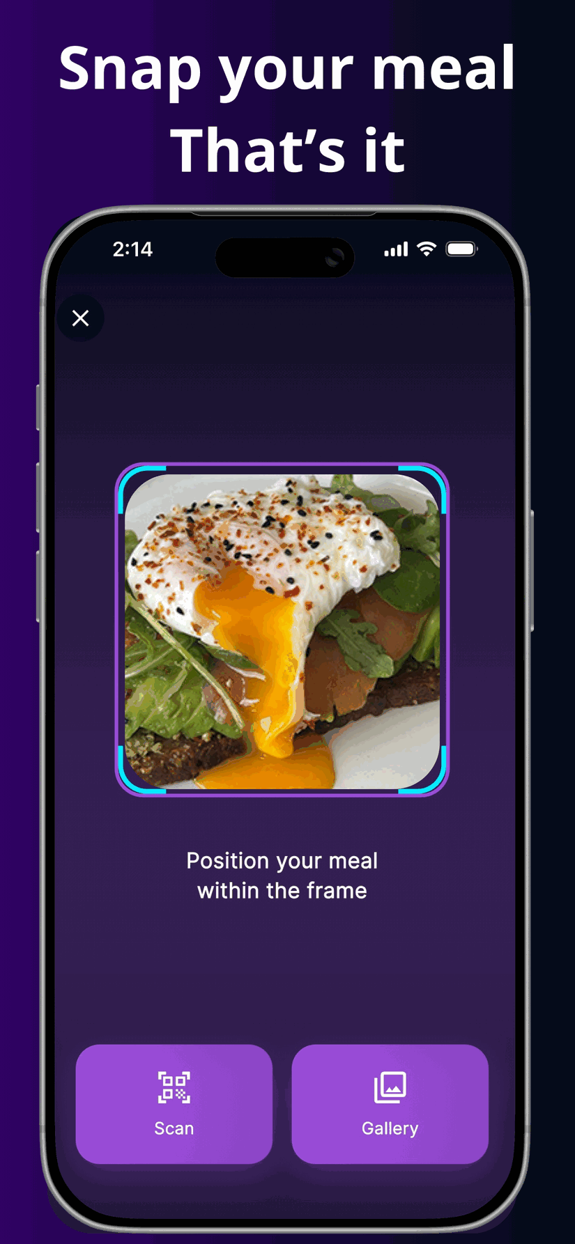 Vyka AI meal scanner — frame your plate and let AI identify foods and macros